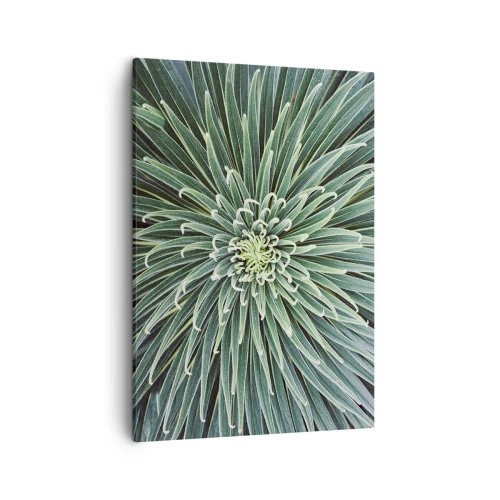 Canvastavla - Bild på duk - Stjärna föds - 50x70 cm