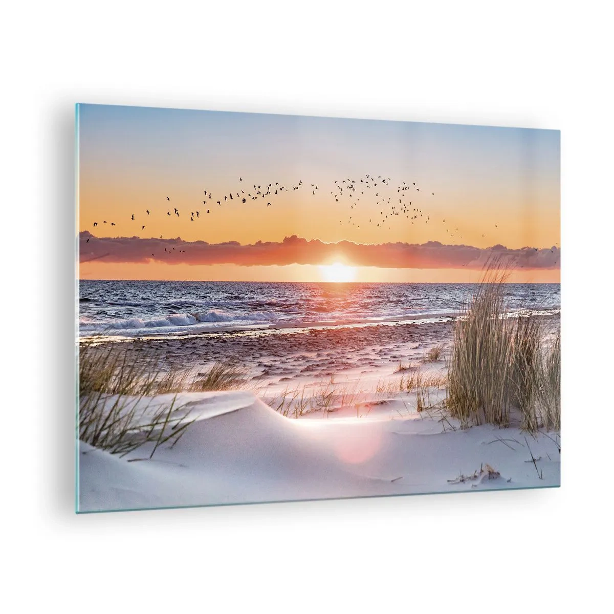 Glastavla - Bild på glas - Solnedgång över havet med fåglar och sanddyner - 70x50cm - Horisontellt landskap - Modern väggdekoration för vardagsrum och sovrum ARTTOR