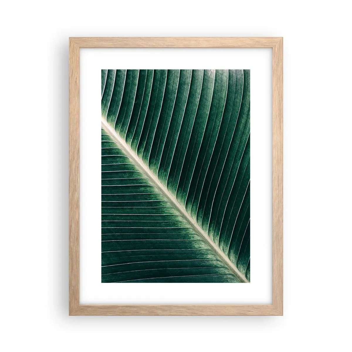 Affisch i ram av ljusek - Naturens rytm - 30x40 cm