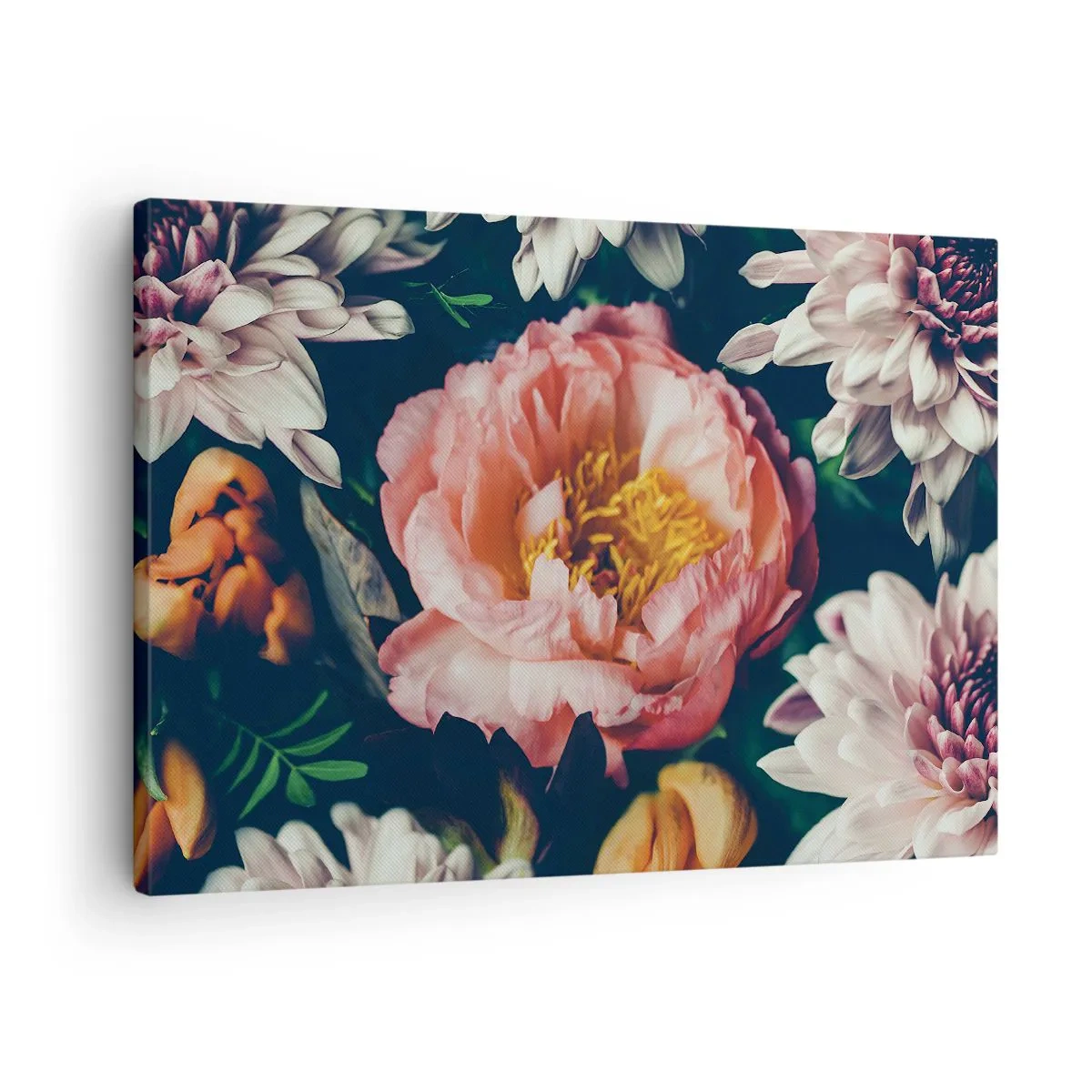 Canvastavla - Bild på duk - Blomsterarrangemang med pion och krysantemum på en mörk bakgrund - 70x50cm - Med barockprakt - Modern väggdekoration för vardagsrum och sovrum ARTTOR