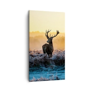 Canvastavla - Bild på duk - Krönt på sin mark - 45x80 cm