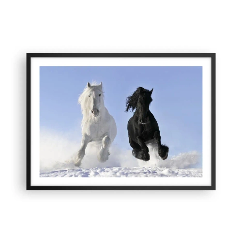Affisch i svart ram - Svart-vit galopp - 70x50 cm