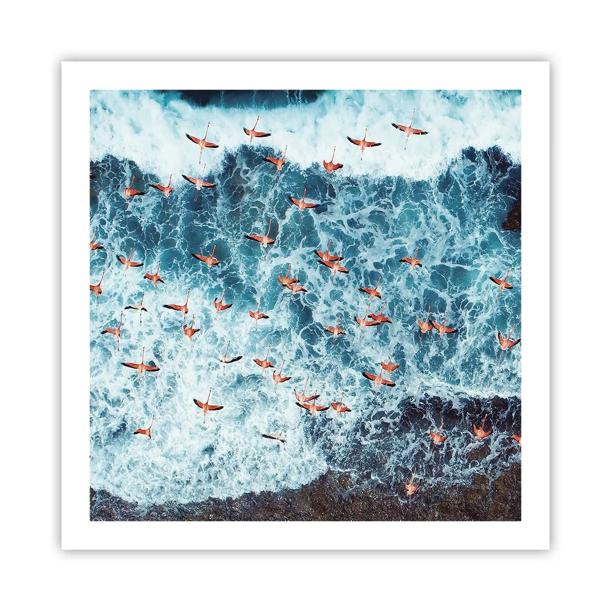 Affisch - Kustparad - 60x60 cm