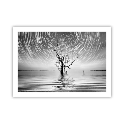 Affisch - Naturens symfoni - 70x50 cm