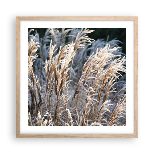 Affisch i ram av ljusek - Frostprydda - 50x50 cm