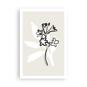 Affisch - Skiss till ett herbarium - 61x91 cm