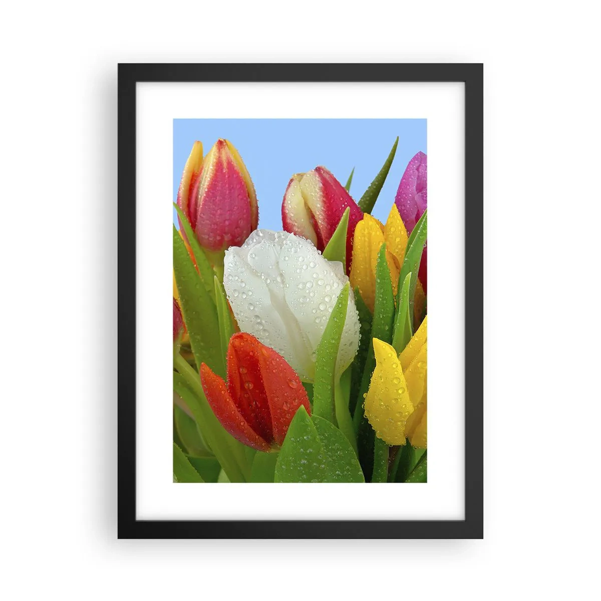 Affisch i svart ram - blommig regnbåge i daggdroppar - 30x40 cm