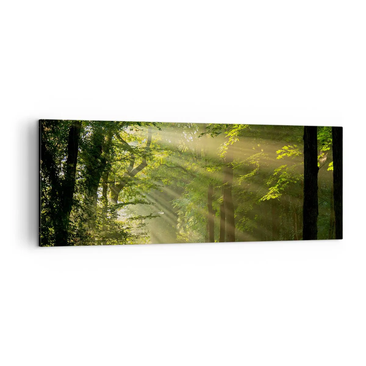Canvastavla - Bild på duk - En stund i skogen - 140x50 cm