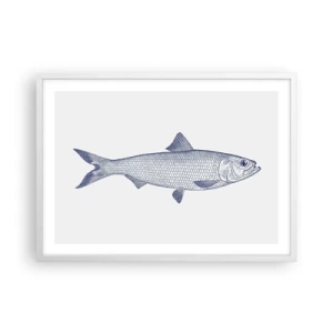 Affisch i vit ram - Hälsningar från de nordliga haven - 70x50 cm