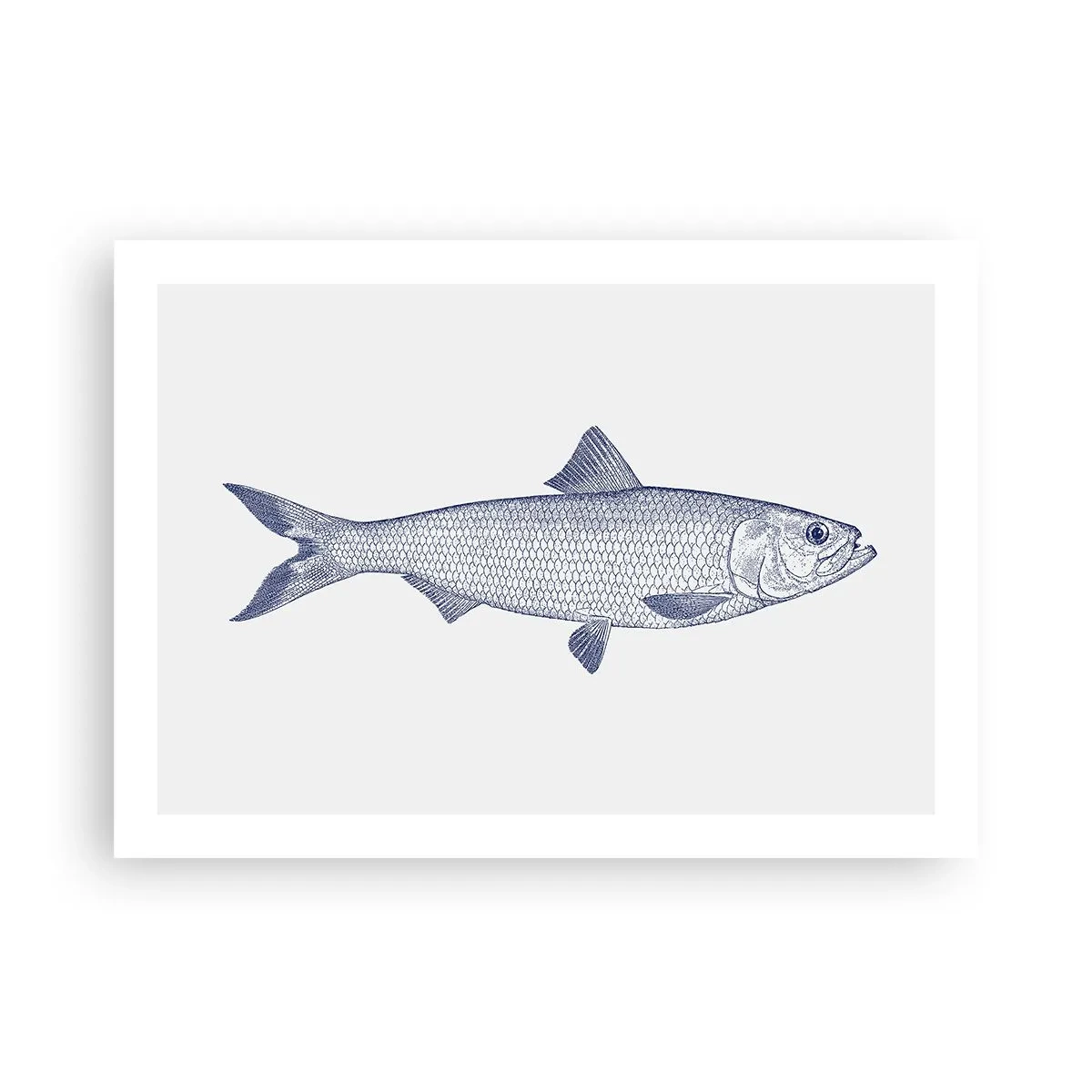 Affisch - Hälsningar från de nordliga haven - 70x50 cm