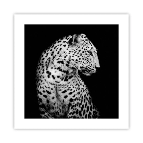 Affisch - Perfekt höger profil! - 40x40 cm