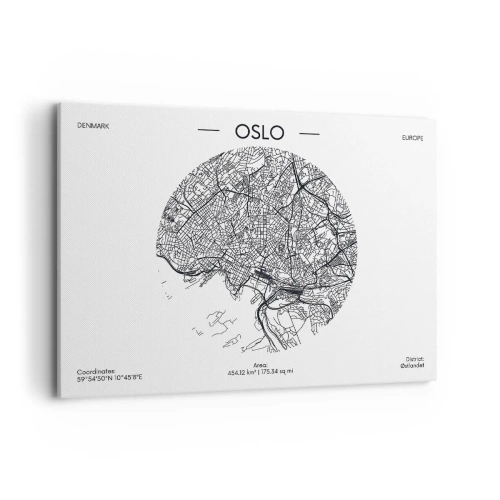 Canvastavla - Bild på duk - Oslos anatomi - 100x70 cm