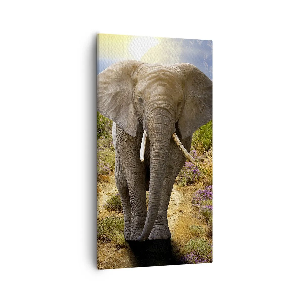 Canvastavla - Bild på duk - Så såg Edens trädgård ut - 55x100 cm