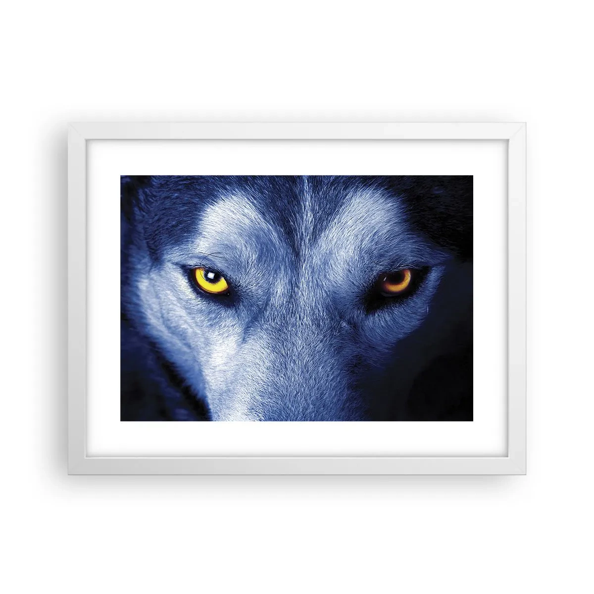 Affisch i vit ram - Hypnotiserade titt - 40x30 cm
