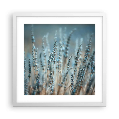 Affisch i vit ram - Doftande åkermark - 40x40 cm