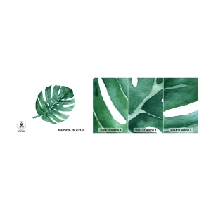 Provbit av självhäftande fototapet Deluxe Sticker - Grönt koncept - Monstera, Blad, Boho - 100x30 cm