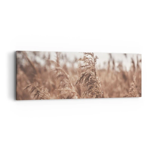 Canvastavla - Bild på duk - Hösten är framme på åkrarna - 90x30 cm