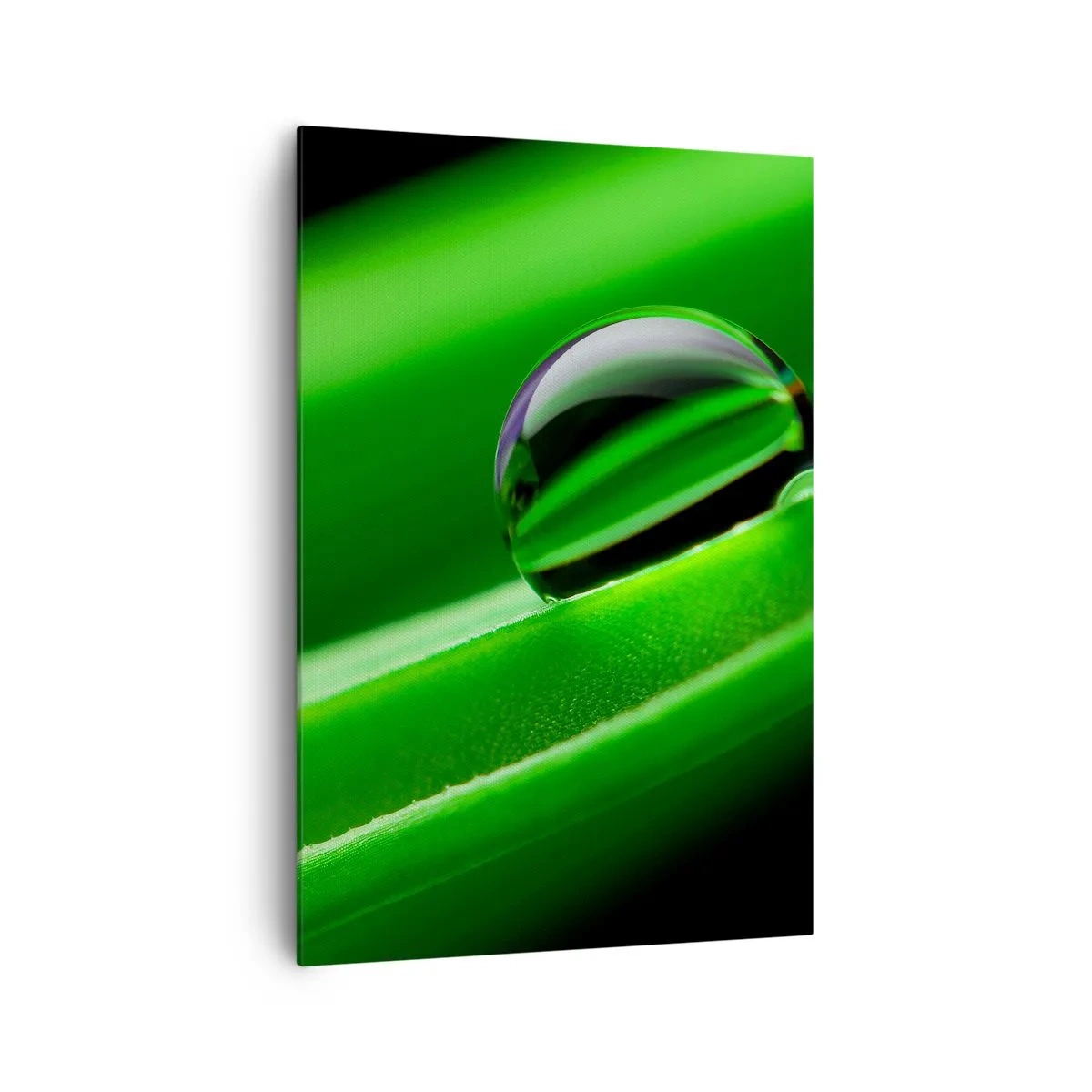 Canvastavla - Bild på duk - Livet på nära håll - 70x100 cm