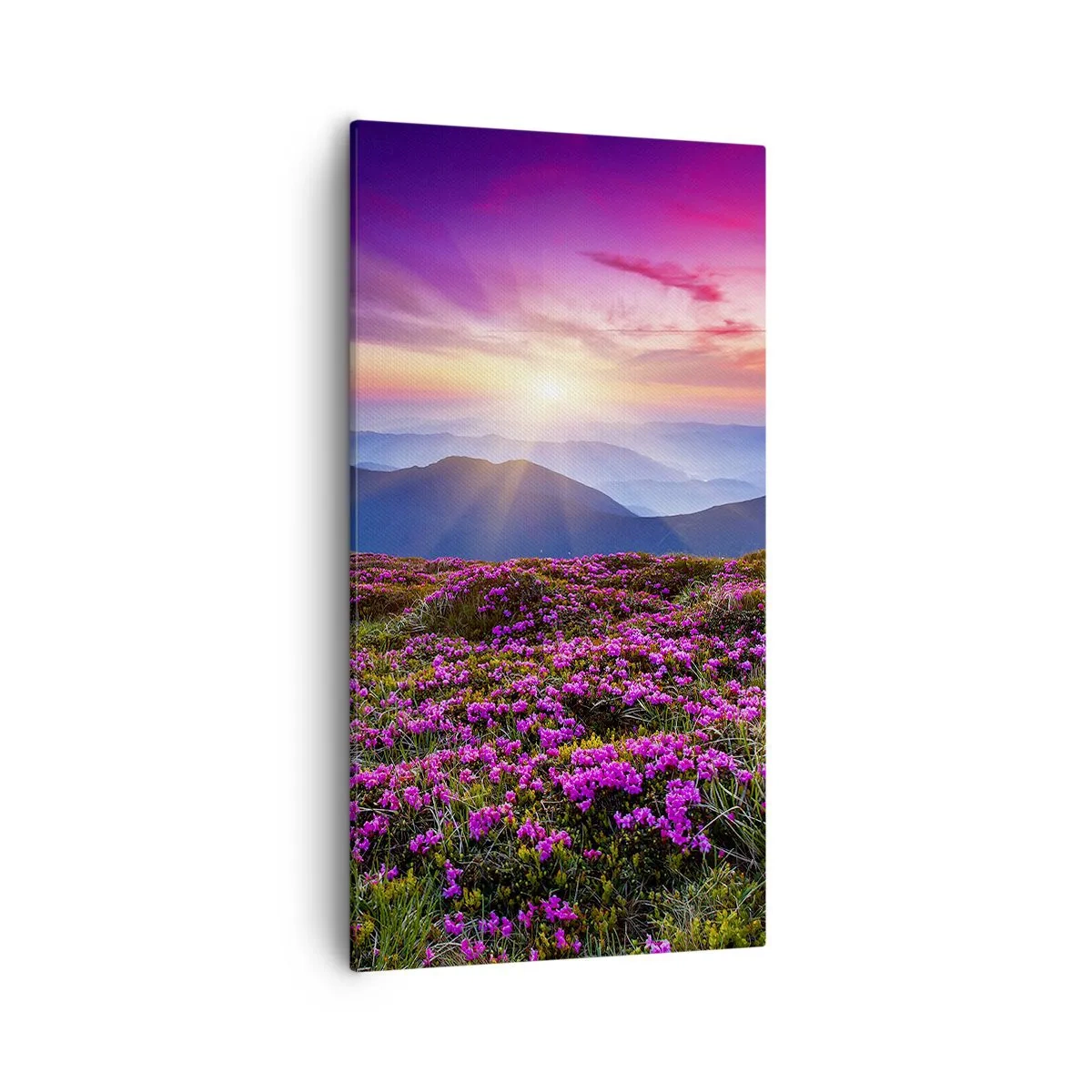 Canvastavla - Bild på duk - Doftande örter - 55x100 cm