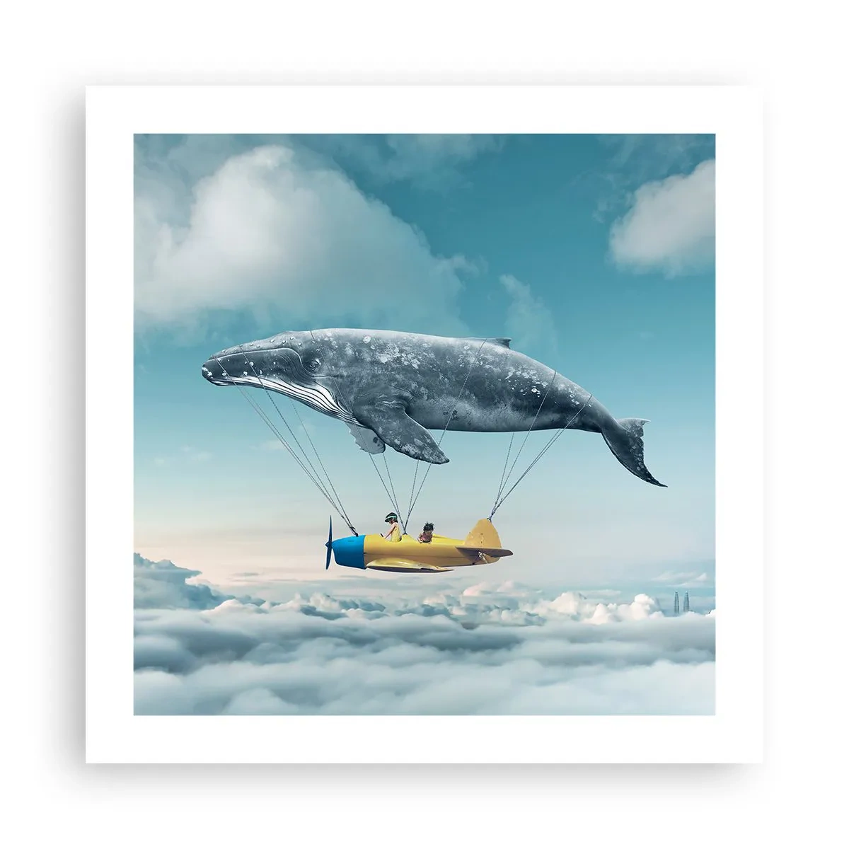 Affisch - Varför inte? - 50x50 cm