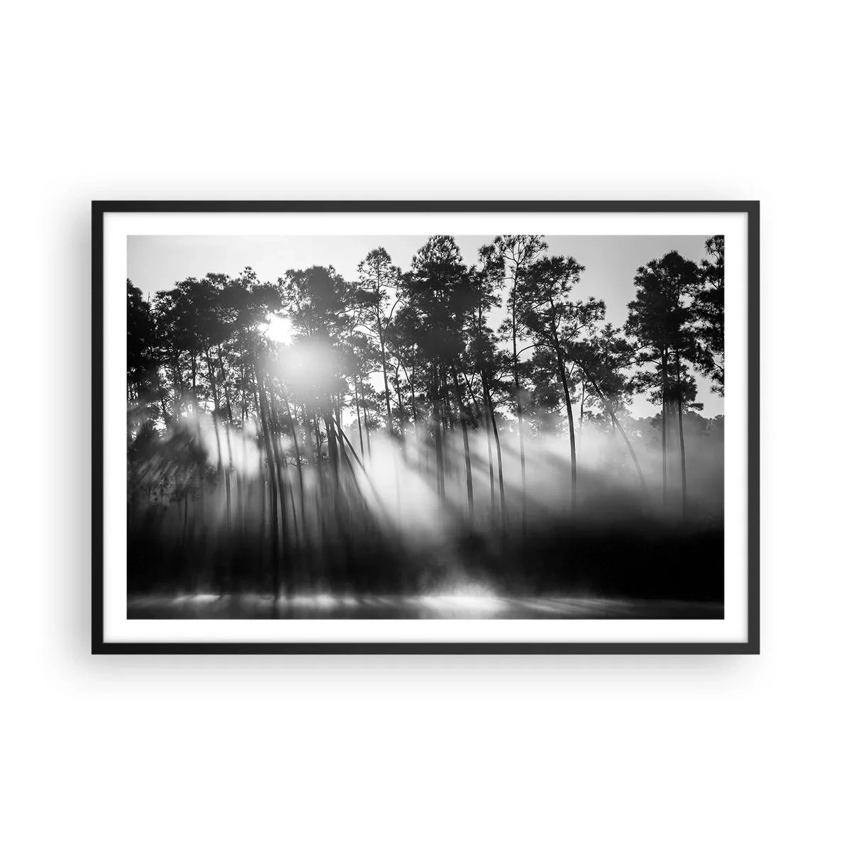 Affisch i svart ram - Ostoppad sol - 91x61 cm