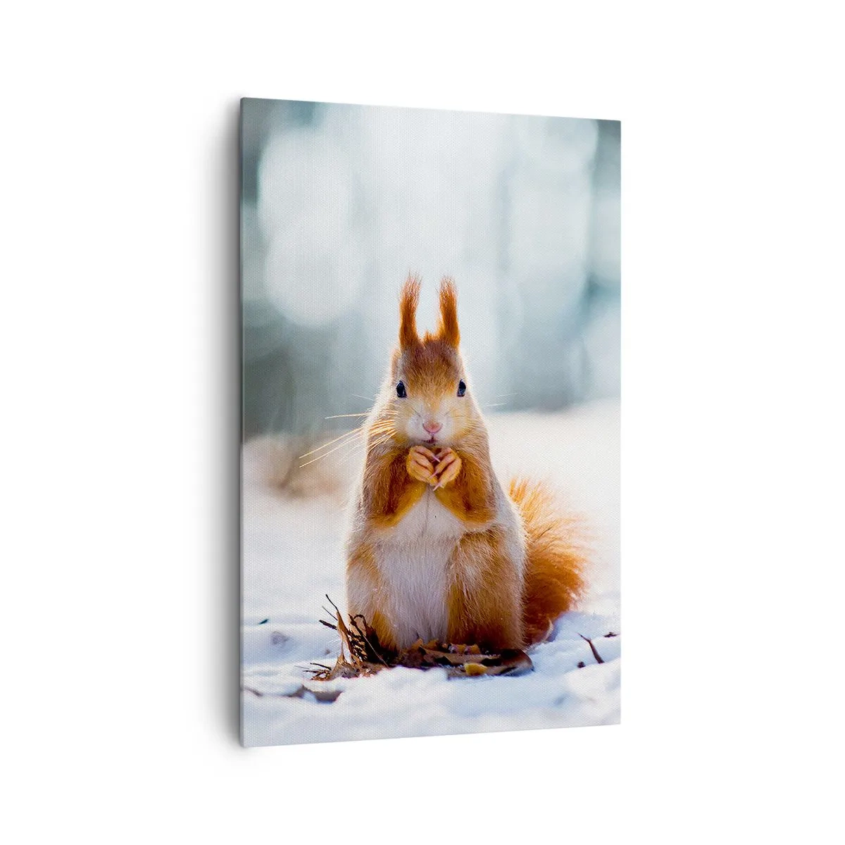 Canvastavla - Bild på duk - Vad glor du på? - 80x120 cm