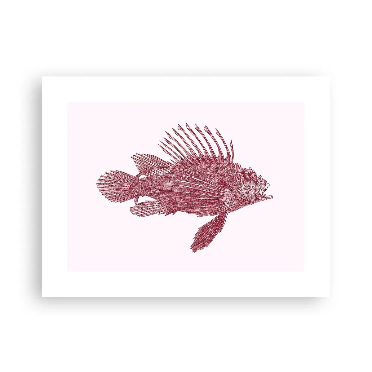 Affisch - En invånare i exotiska vatten - 40x30 cm