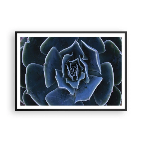 Affisch i svart ram - Öknens blomma - 100x70 cm