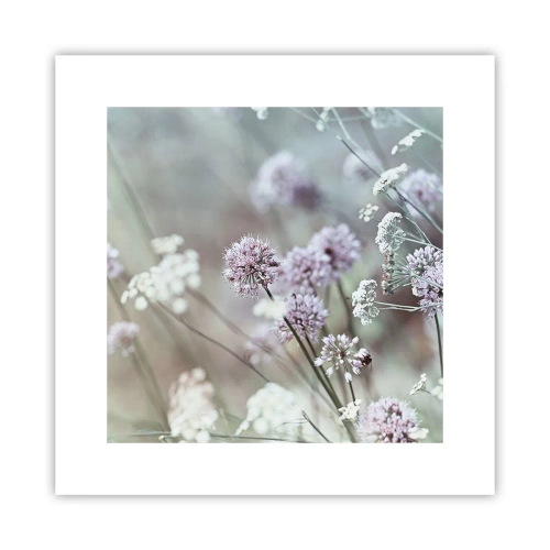 Affisch - Söta örtfiligraner - 30x30 cm