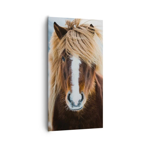 Canvastavla - Bild på duk - Känner du friheten? - 65x120 cm