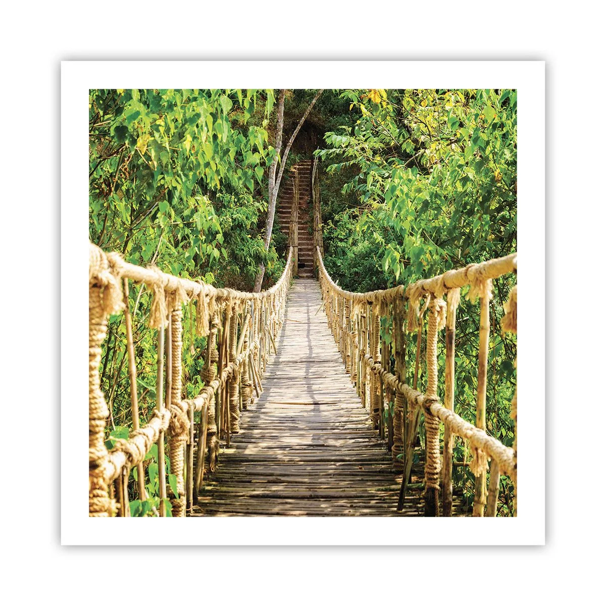 Affisch - Upphängd i grönskan - 60x60 cm
