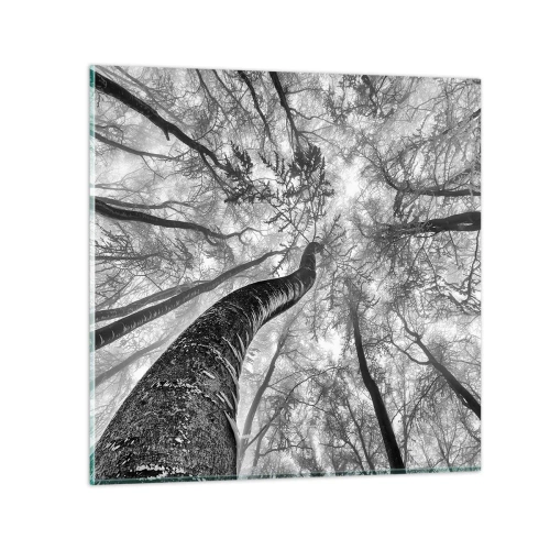 Glastavla - Bild på glas - Kapplöpning mot ljuset - 60x60 cm