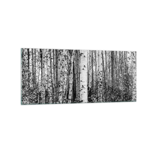 Glastavla - Bild på glas - Björkpelargång - 120x50 cm