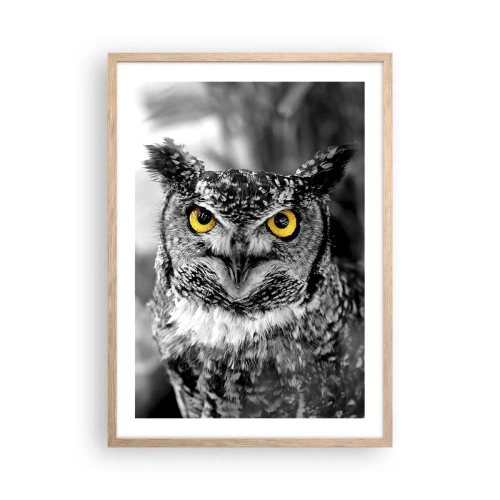 Affisch i ram av ljusek - Inget kommer undan - 50x70 cm