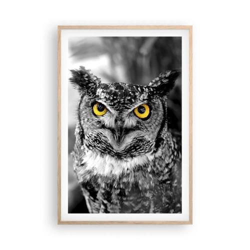 Affisch i ram av ljusek - Inget kommer undan - 61x91 cm