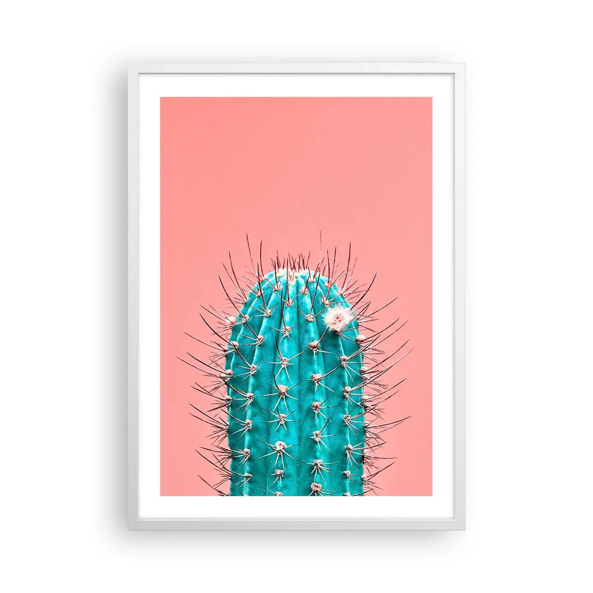 Affisch i vit ram - Titta bara - 50x70 cm