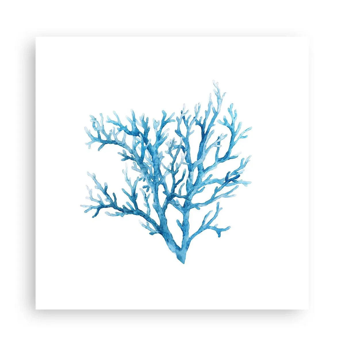 Affisch - Marin filigran - 30x30 cm