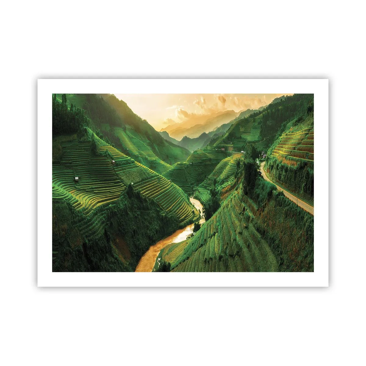 Affisch - Vietnamesisk dal - 70x50 cm
