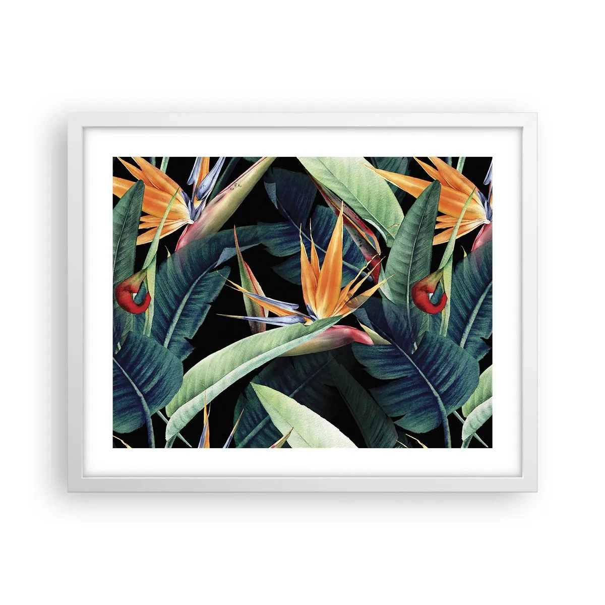 Affisch i vit ram - Tropikens brinnande blommor - 50x40 cm
