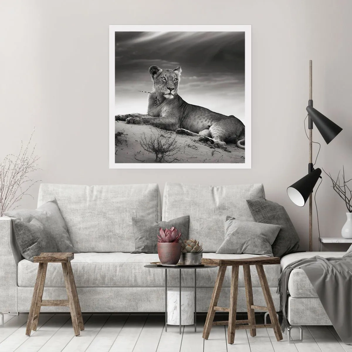 Affisch - Öknens drottnings vila - 40x40 cm