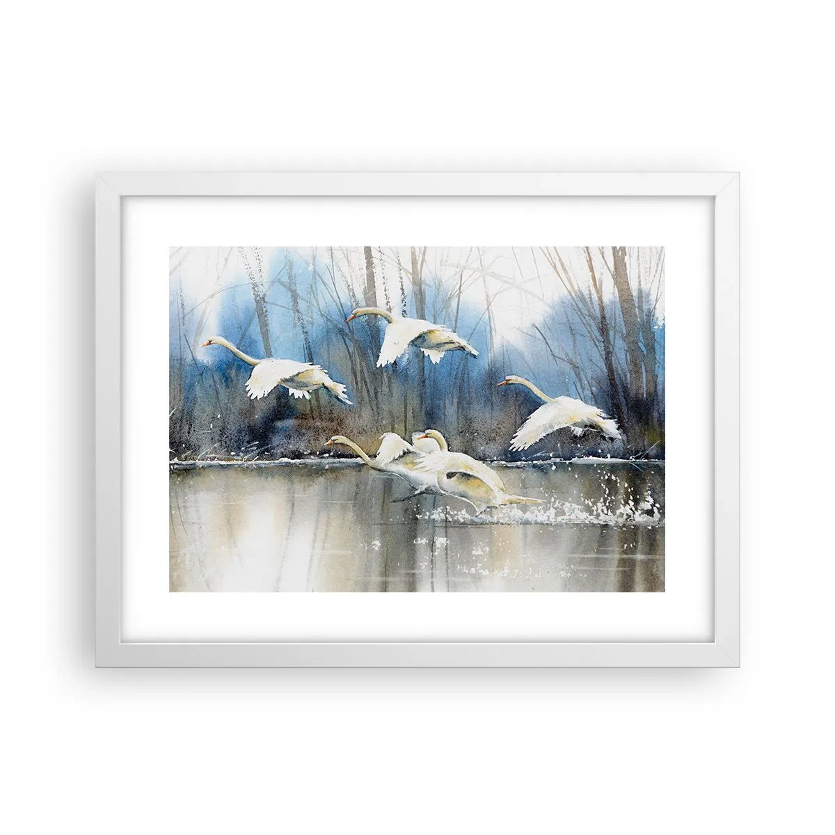 Affisch i vit ram - Som i en saga om vilda svanar - 40x30 cm