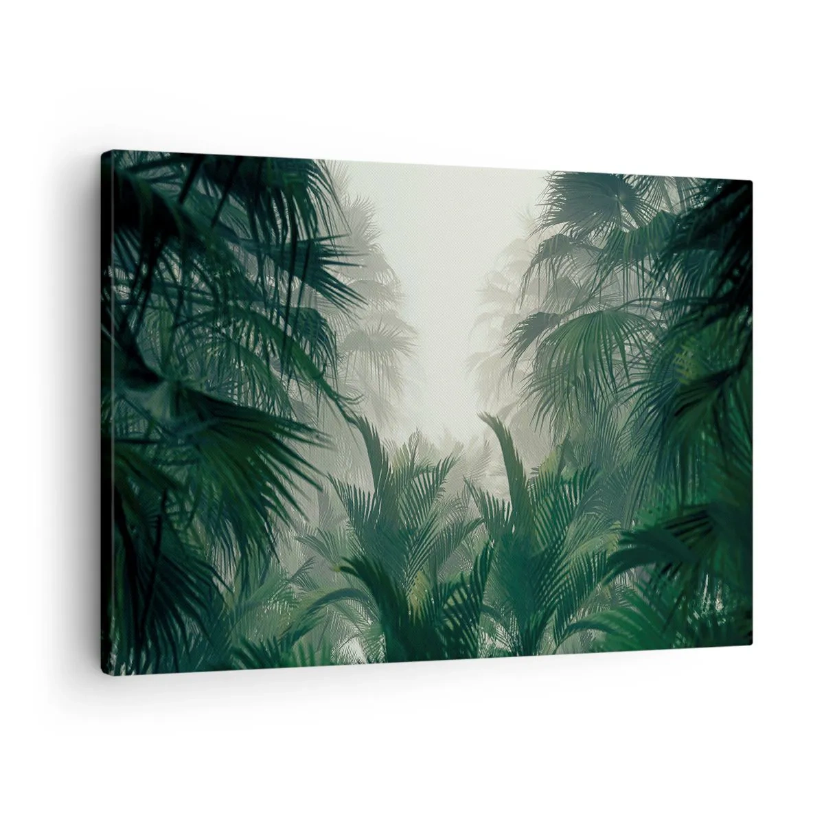 Canvastavla - Bild på duk - Tropisk vegetation i tät regnskogsdimma - 70x50cm - Tropisk hemlighet - Modern väggdekoration för vardagsrum och sovrum ARTTOR