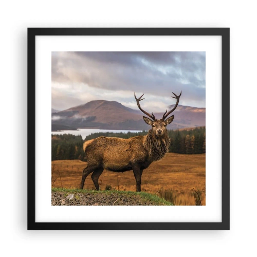 Affisch i svart ram - Naturens majestät - 40x40 cm