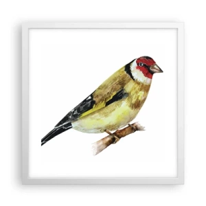 Affisch i vit ram - Fågelporträtt - 40x40 cm