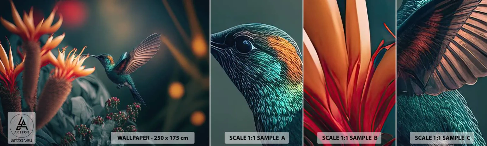 Provbit av självhäftande fototapet Deluxe Sticker - Ett verkligt färgglatt liv - Fågel, Exotisk, Blomma - 100x30 cm