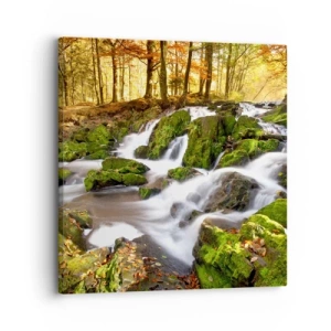 Canvastavla - Bild på duk - Kvickt genom höstskogen - 30x30 cm
