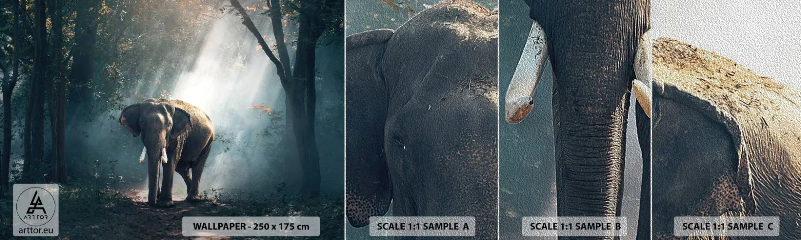 Provbit av fototapet Premium Sand - Lugn promenad - Djur, Elefant, Djungel - 100x30 cm