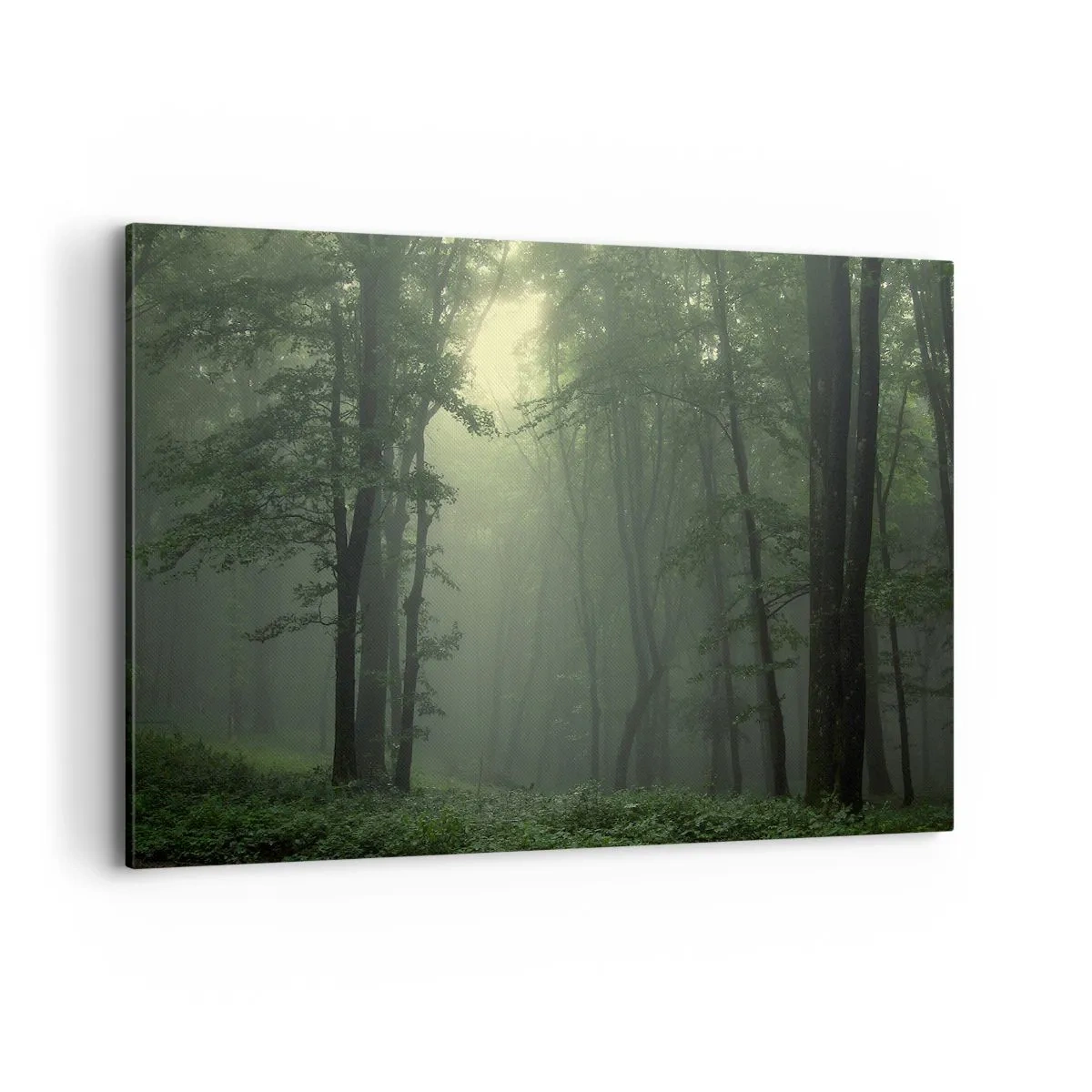 Canvastavla - Bild på duk - Innan skogen vaknar - 100x70 cm