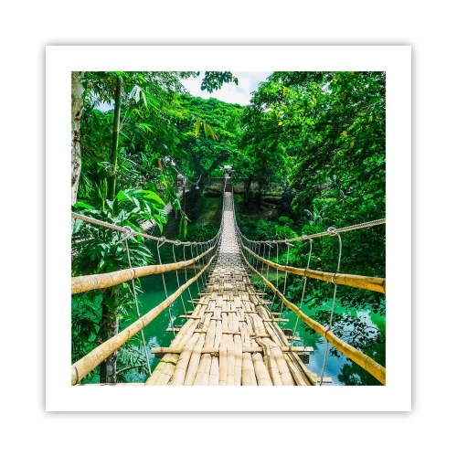 Affisch - Apbro över grönskan - 50x50 cm