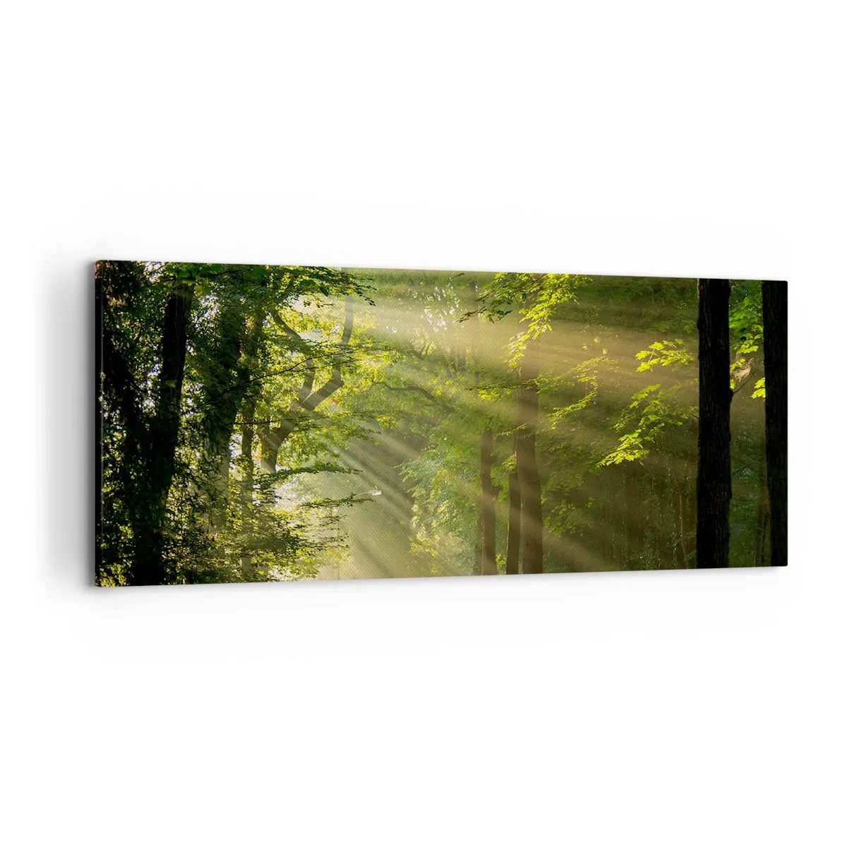 Canvastavla - Bild på duk - En stund i skogen - 120x50 cm